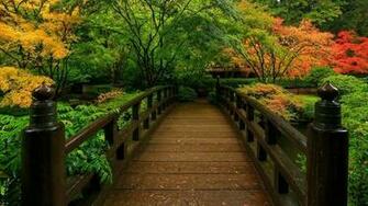 Zen Ultra HD Wallpaper By Bega