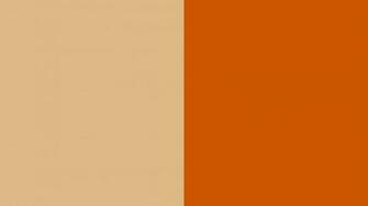 Burnt Orange Background Wallpaper Stock Image Pictures