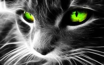 Cat Widescreen HD Wallpaper In Space Elephant