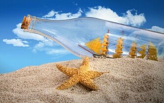 Star Fish HD Wallpaper Animals