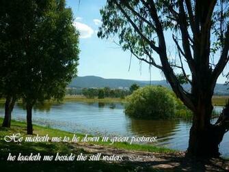 Kjv Bible Wallpaper 1st Psalm