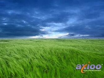 Wallpaper Axio Picture Kumpulan