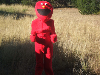 Funny Elmo Pictures Wallpaper
