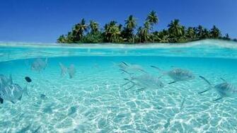 Beach Background HD Wallpaper Flip