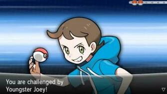 Pokemon Xy Zigzagoon HD Wallpaper Animewp