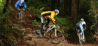 Bike Action Magazine Mountain S March Wallpaper