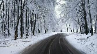 Winter Snow Wallpaper Background