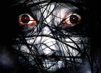 Grudge Horror Mystery Thriller Dark Evil Demon Ghost Ju On