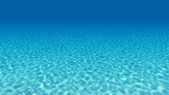 Under The Sea Wallpaper