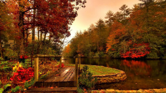 Body Of Water Surrounded By Autumn Fall Trees 4k HD Nature Wallpaper