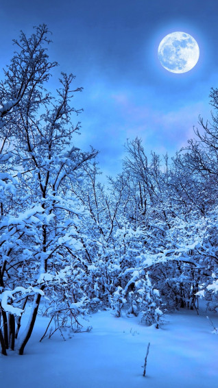 Winter Snow Nature 4k In Resolution iPhone Wallpaper
