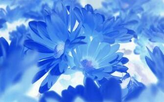 Beautiful Blue Wallpaper