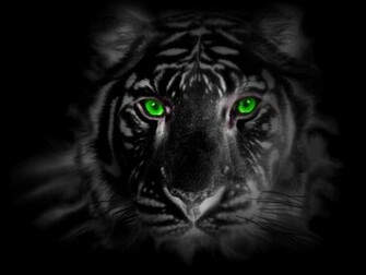 Green Eye Tiger By Tigerallied