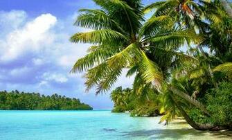 Tropical Island Background