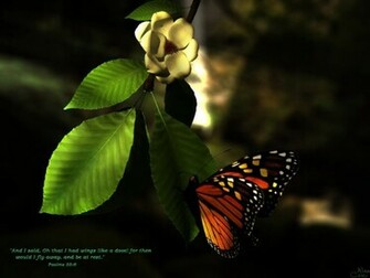 Fantasy Butterfly Wallpaper