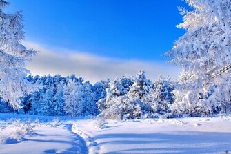 Sunny Winter Day Wallpaper