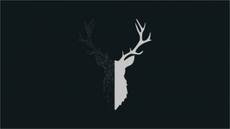Best Stag Wallpaper