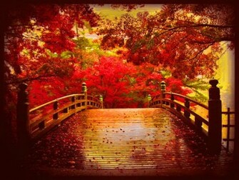 Nostalgia Wallpaper Autumn
