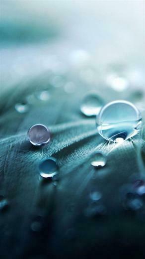 Android M Wallpaper Shy