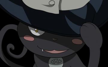 Soul Eater Wallpaper Witch Cat Blair