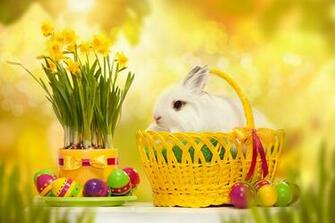 Easter Bunny HD Wallpaper To Your Mobile Phone Or Tablet