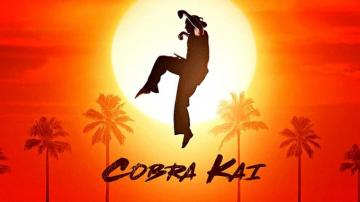 Amazon Cobra Kai Poster Wall Decor Print