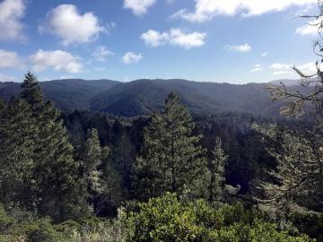 Deal Made To Protect More Than Acres Of Santa Cruz Mountains