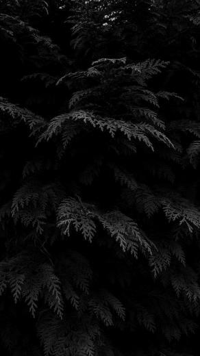 Catherine Datsik On Textures Black Wallpaper iPhone Dark