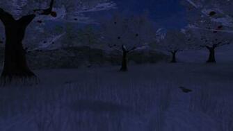Here You Can Find Many Different Background From Star Stable Online