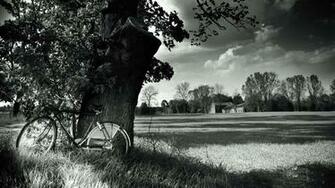 Bike Desktop Wallpaper In Balck And White Fine