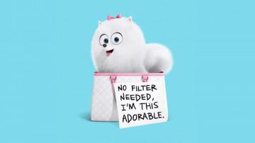 The Secret Life Of Pets Gidget HD Wallpaper IHD