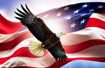 American Flag With Eagle Wallpaper