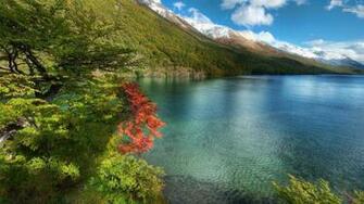 Lakeside Wallpaper Nature