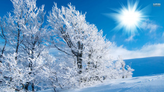 Winter Wallpaper