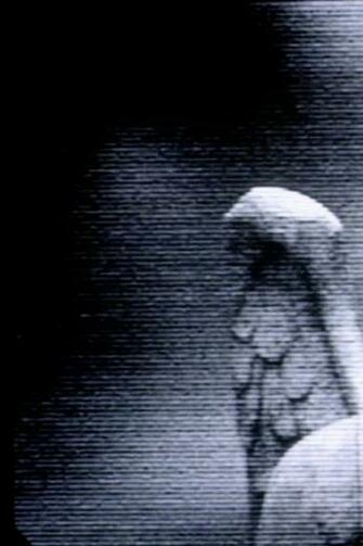 Weeping Angel Wallpaper