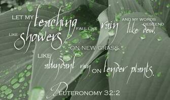 Deuteronomy HD Wallpaper Background Image Id