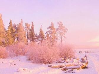 Pink Gold Wallpaper
