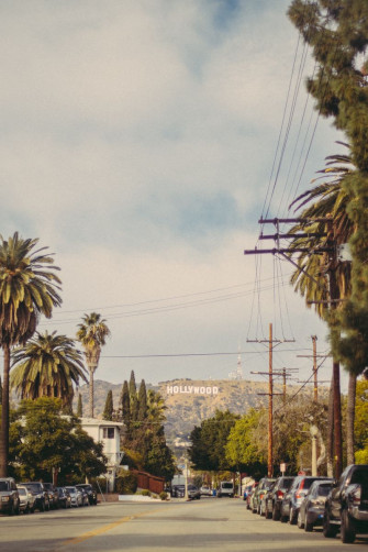 Wallpaper Hollywood Road Trees iPhone 4s For