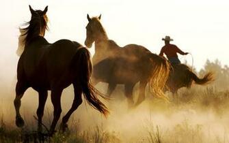 Rodeo Wallpaper