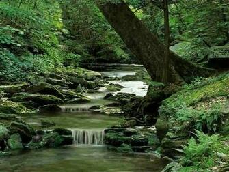 Living Waterfalls Screensaver Software Ze
