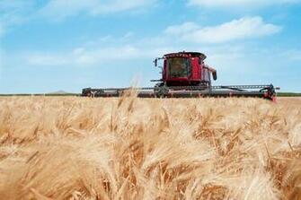 Case Ih Axial Flow Harvester Computer Wallpaper Desktop Background