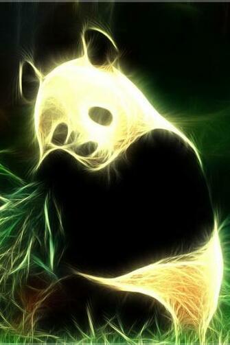 HD Cute Panda Cg iPhone Wallpaper Background