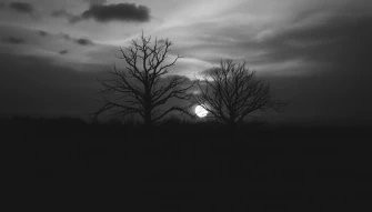 Sad Black And White Wallpaper