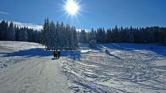 Wallpaper Snow Winter Cold Landscapes
