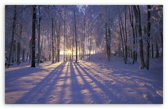 Winter Is Coming HD Wallpaper For Standard Fullscreen Uxga Xga