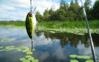 Fishing Computer Wallpaper Desktop Background Id