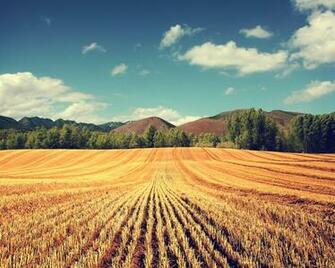 Typical Wallpaper Photo Manipulated Nature In Jpg