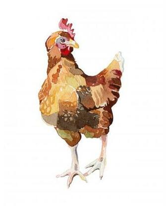 Chicken Little Funny HD Wide Wallpaper For Widescreen Wallpoop The
