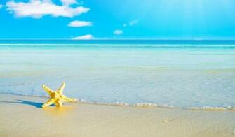 Florida Realty Trust Llc Commercial Residential Central
