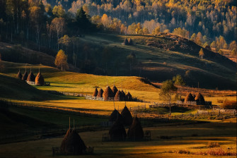 Fall Sunrise Field Forest Grass Romania Trees Hill Nature Wallpaper